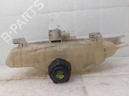 Expansion tank RENAULT CLIO III (BR0/1, CR0/1) 1.2 16V | BP22185559C120 