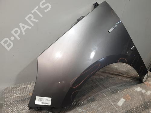 Left front fenders RENAULT SCÉNIC III (JZ0/1_) 1.5 dCi (JZ02, JZ0R) | BP30193440C41 