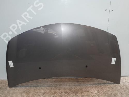 Hood RENAULT CLIO III (BR0/1, CR0/1) 1.2 16V (BR02, BR0J, BR11, CR02, CR0J, CR11) | BP20374462C1 