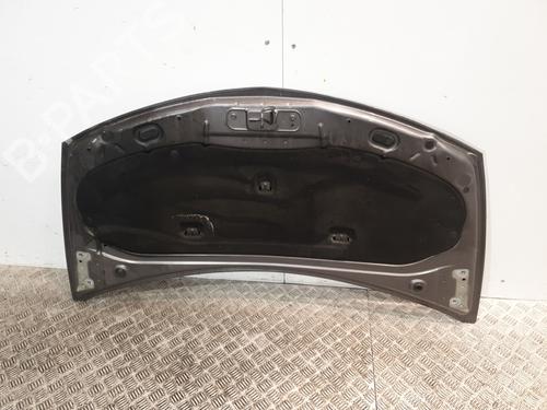 Hood RENAULT CLIO III (BR0/1, CR0/1) 1.5 dCi (C/BR0G, C/BR1G) | BP25130255C1 