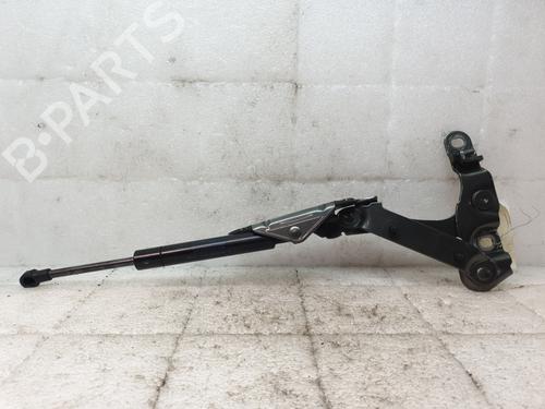 Tailgate lift support BENTLEY CONTINENTAL Coupe (3W_, 393) 6.0 GT | BP29822224C138