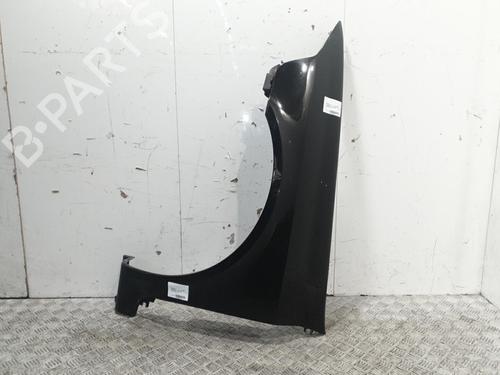 Left front fenders RENAULT LAGUNA II (BG0/1_) 3.0 V6 24V (BG01, BG02, BG0D, BG0Y) | BP20383548C41 