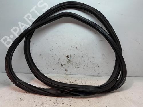 Rubber door seal AUDI Q5 (FYB, FYG) 50 TDI quattro | BP20384659C142 