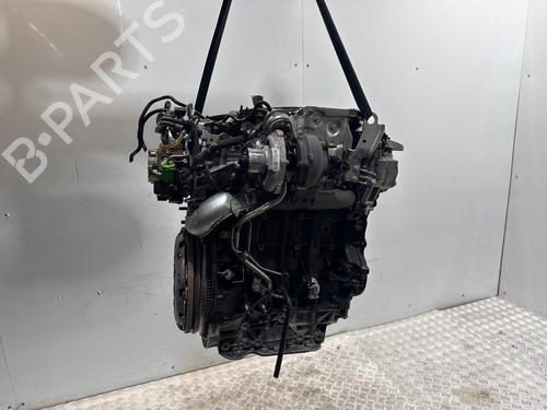 Engine RENAULT ESPACE IV (JK0/1_) 2.0 dCi (JK01, JK02, JK1J, JK1K, JK1H) | BP40051391M1  - Image 7