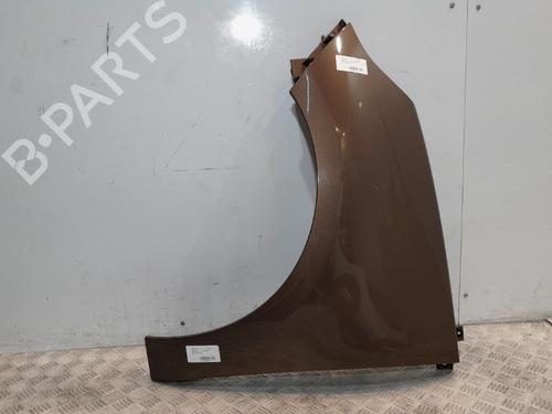 Left front fenders RENAULT SCÉNIC III (JZ0/1_) 1.5 dCi | BP20381581C41 