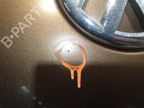 Hood VW BEETLE Convertible (5C7, 5C8) 1.2 TSI | BP30146696C1