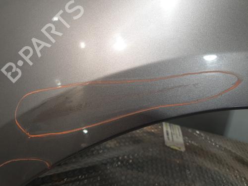 Left front fenders RENAULT SCÉNIC III (JZ0/1_) 1.5 dCi (JZ02, JZ0R) | BP30193440C41 