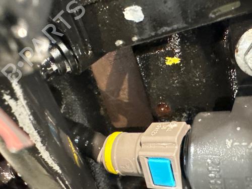 Used Engine Engine RENAULT CLIO III (BR0/1, CR0/1) 1.5 dCi (75 hp) 40448524 40448524