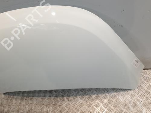 Hood HYUNDAI i10 I (PA) 1.1 | BP29822141C1