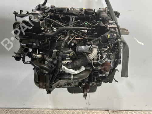 Engine FORD FIESTA VI (CB1, CCN) 1.6 TDCi | BP26376840M1 
