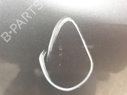 Left front door CITROËN C3 II (SC_) 1.6 HDi | BP25989482C2 