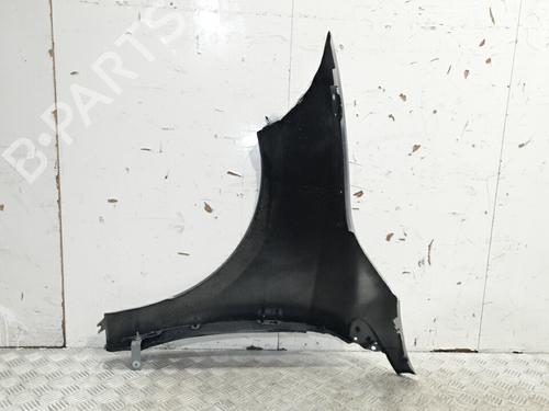 Right front fenders NISSAN QASHQAI / QASHQAI +2 I (J10, NJ10, JJ10E) 1.5 dCi | BP27658244C42 