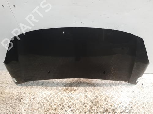 Used Hood CITROËN C3 II (SC_) 1.4 HDi 70 (SC8HZC, SC8HR0, SC8HP4) (68 hp) 30905622