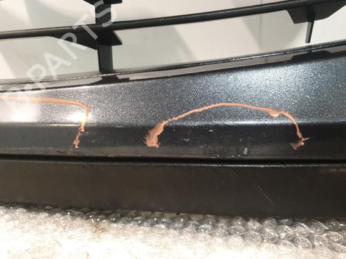 Front bumper RENAULT CLIO III (BR0/1, CR0/1) 1.5 dCi (BR17, CR17) | BP31050463C7 