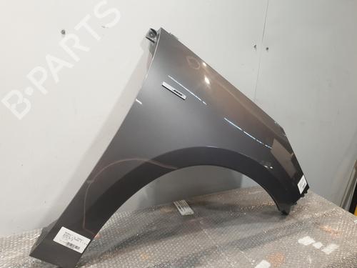 Right front fenders RENAULT SCÉNIC III (JZ0/1_) 1.5 dCi (JZ02, JZ0R) | BP30193441C42 