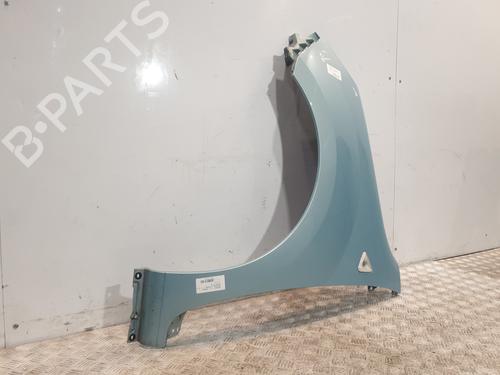 Left front fenders RENAULT KANGOO / GRAND KANGOO II (KW0/1_) 1.5 dCi 90 (KW05, KW08, KW0G, KW11) | BP29052691C41 