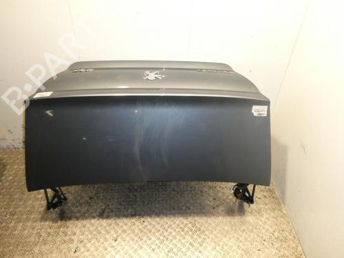 Used Tailgate PEUGEOT 407 (6D_) 2.0 16V (6DRFJC, 6DRFJE, 6DRFJF) (140 hp) 20377342