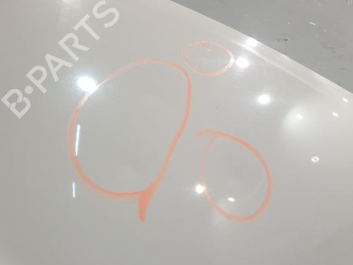 Capot RENAULT TWINGO II (CN0_) 1.2 (CN0D) | BP30643069C1