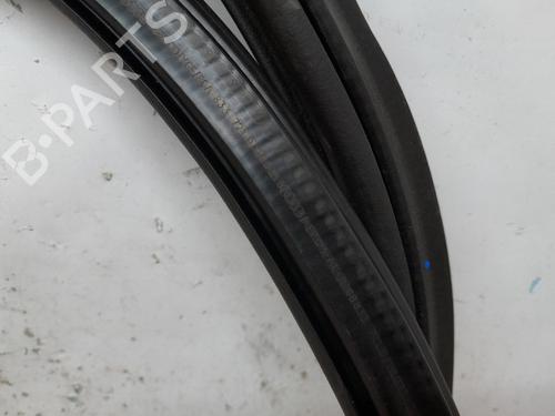 Rubber door seal AUDI Q5 (FYB, FYG) 50 TDI quattro | BP20384659C142 