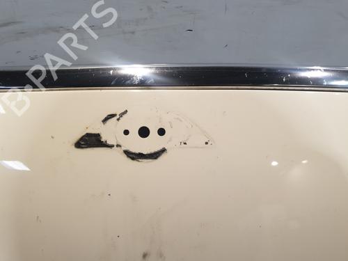 Hood MINI MINI (R56) Cooper D | BP31376253C1