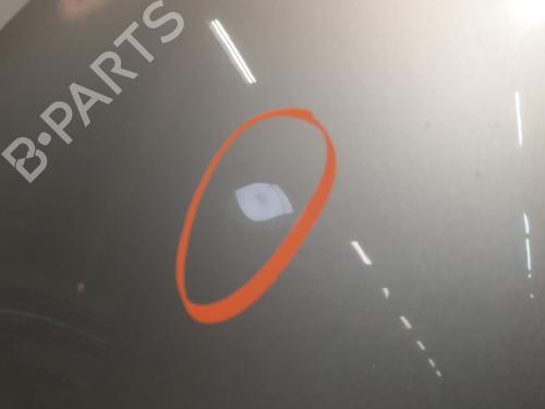 Hood RENAULT CLIO IV (BH_) 1.5 dCi 75 | BP31695924C1 