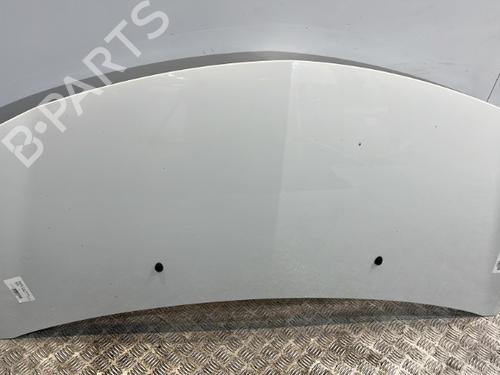 Hood RENAULT CLIO III (BR0/1, CR0/1) 1.5 dCi | BP20381293C1 