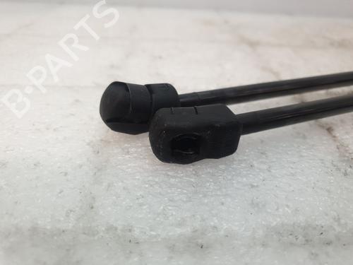 tailgate-lift-support-nissan-370z-coupe-z34-2009-26892250 main image