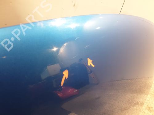 Hood DACIA SANDERO II 1.5 dCi | BP32311766C1