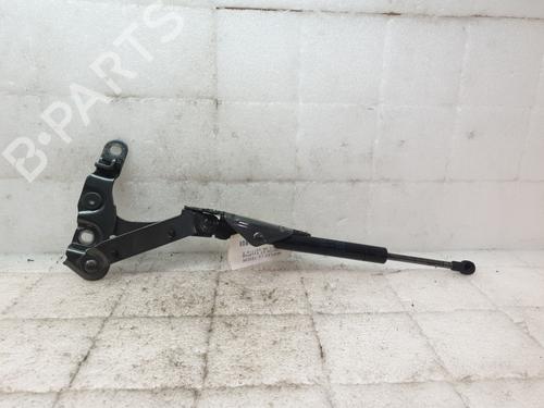 Tailgate lift support BENTLEY CONTINENTAL Coupe (3W_, 393) 6.0 GT | BP29822225C138