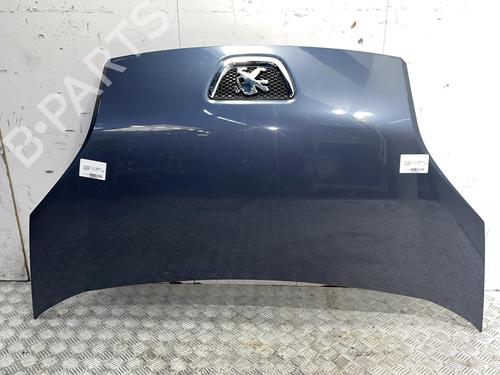 Used Hood PEUGEOT BIPPER (AA_) 1.3 HDi 75 (75 hp) 20379712