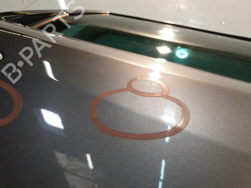 Right rear door RENAULT SCÉNIC III (JZ0/1_) 1.5 dCi (JZ02, JZ0R) | BP30193439C5 