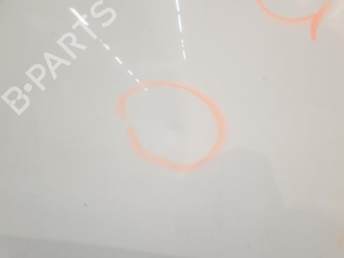 Capot RENAULT TWINGO II (CN0_) 1.2 (CN0D) | BP30643069C1