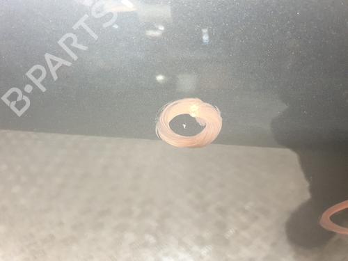 Right rear door RENAULT SCÉNIC III (JZ0/1_) 1.5 dCi (JZ02, JZ0R) | BP30193439C5 