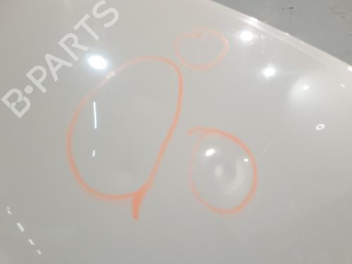 Capot RENAULT TWINGO II (CN0_) 1.2 (CN0D) | BP30643069C1