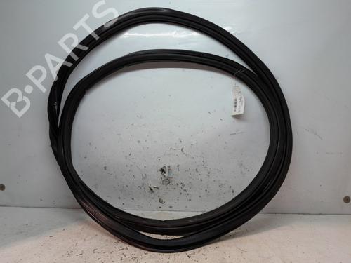 Used Rubber door seal AUDI Q5 (FYB, FYG) 50 TDI quattro (286 hp) 21973697
