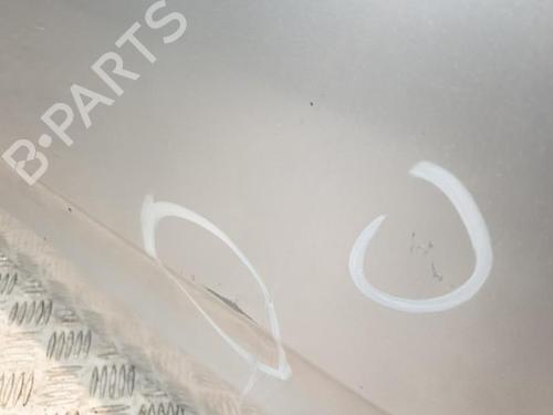 Left front door NISSAN PATHFINDER III (R51) 2.5 dCi 4WD | BP20374990C2 