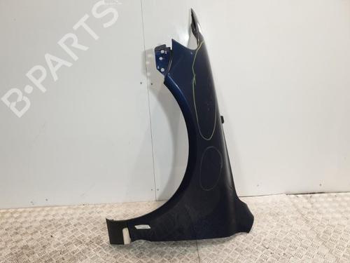 Left front fenders VW TOUAREG (7LA, 7L6, 7L7) 2.5 R5 TDI | BP20378317C41 