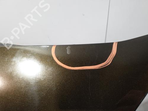 Front bumper RENAULT CLIO III (BR0/1, CR0/1) 1.2 16V (BR02, BR0J, BR11, CR02, CR0J, CR11) | BP30193334C7 