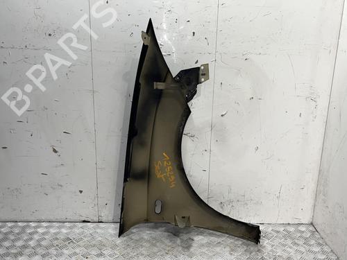 Left front fenders SEAT ALTEA (5P1) 1.9 TDI | BP20383225C41 