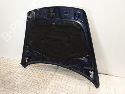 Hood VW TOUAREG (7LA, 7L6, 7L7) 2.5 R5 TDI | BP21973645C1 