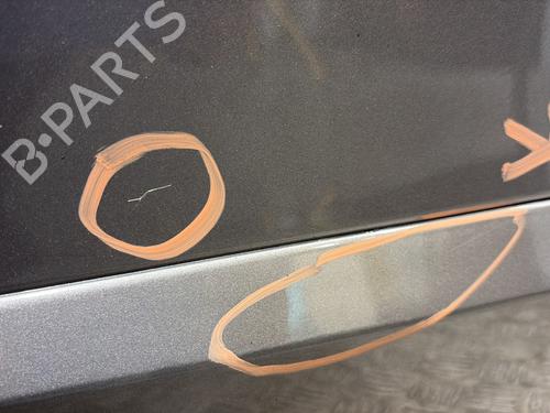 Right rear door RENAULT SCÉNIC III (JZ0/1_) 1.5 dCi | BP29053713C5 