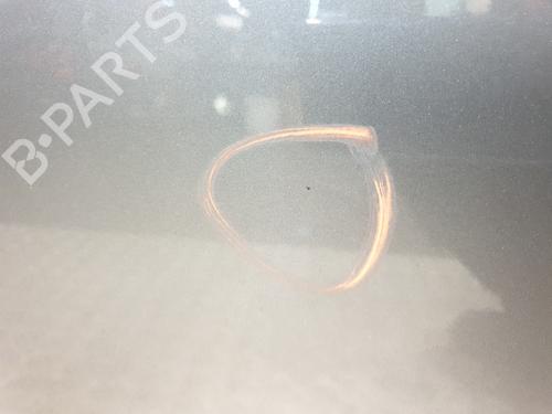 Right front door RENAULT SCÉNIC III (JZ0/1_) 1.5 dCi (JZ02, JZ0R) | BP30193438C3 