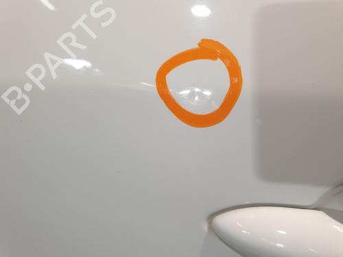 Left front door RENAULT MEGANE III Hatchback (BZ0/1_, B3_) 1.5 dCi (BZ0C) | BP25623401C2 