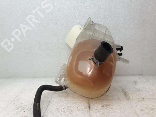 Used Expansion tank Expansion tank RENAULT TWINGO III (BCM_, BCA_) 1.0 SCe 70 (71 hp) 21080307 21080307