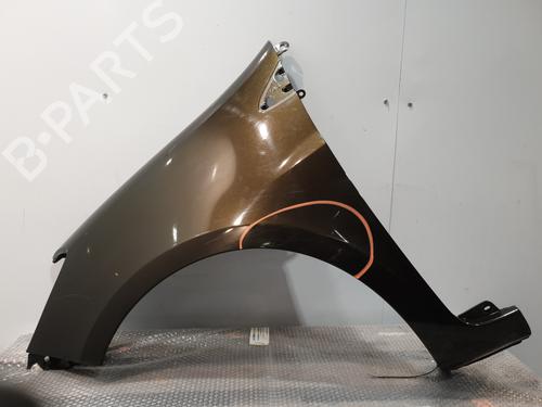 Used Left front fenders RENAULT CLIO III (BR0/1, CR0/1) 1.2 16V (BR02, BR0J, BR11, CR02, CR0J, CR11) (75 hp) 30193330