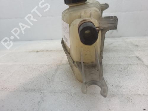 Expansion tank RENAULT CLIO III (BR0/1, CR0/1) 1.5 dCi (C/BR0G, C/BR1G) | BP21823422C120 