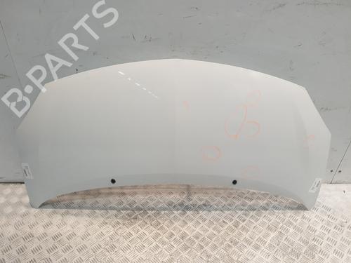 Used Hood RENAULT TWINGO II (CN0_) 1.2 (CN0D) (58 hp) 30643069