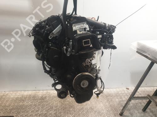 Engine PEUGEOT 3008 I MPV (0U_) 1.6 HDi | BP29699504M1 