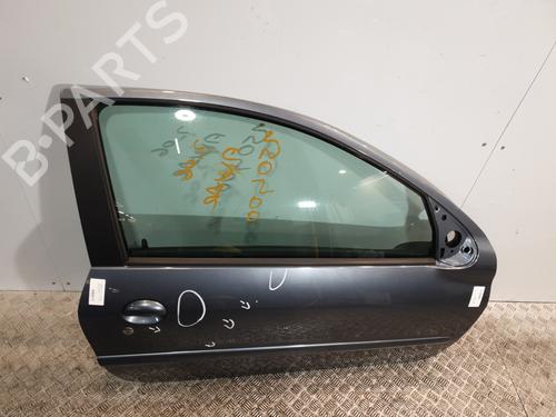 Right front door PEUGEOT 206 Hatchback (2A/C) 2.0 HDI 90 | BP25268213C3 