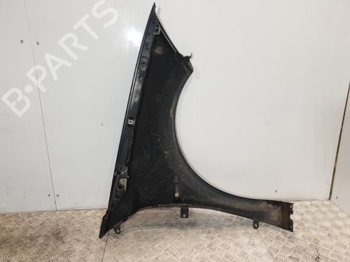 Left front fenders RENAULT MEGANE II Coupé-Cabriolet (EM0/1_) 1.9 dCi | BP20374692C41 